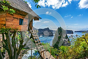 Tree house and Diamond beach in Nusa penida island, Bali in Indonesia photo