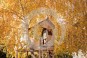 Tree house in the fall - surrounded by yellow leaves