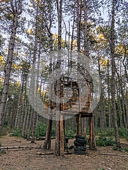 Tree house in the forest in a clearing