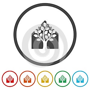 Tree in house icon. Set icons in color circle buttons