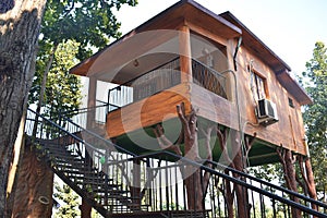 A tree house in Jilimili resort, made up of wooden elements