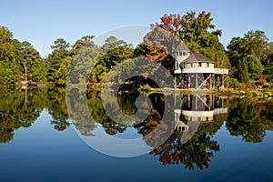 Tree House on the Lake