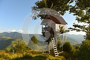 Tree house in the mountains, a children`s treehouse