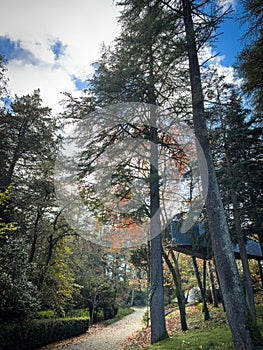 Tree house on Parque Termal de Pedras Salgadas