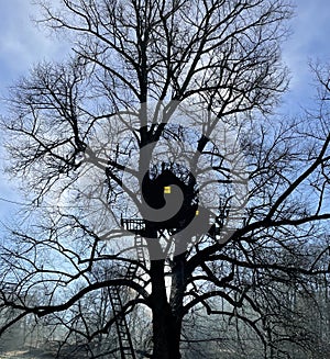 Tree house silhouette