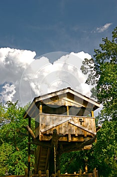 Tree House on a Summer Day