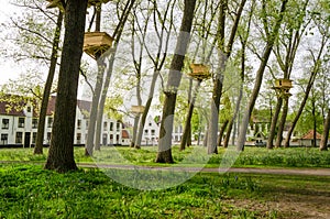 Tree Houses in the Beguinage (Begijnhof) in Bruges