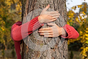 Tree hug