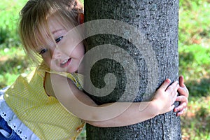 Tree Hugger img