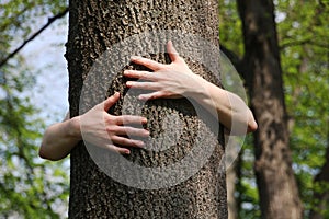 Tree hugger photo