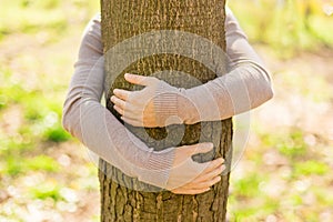 Tree hugging