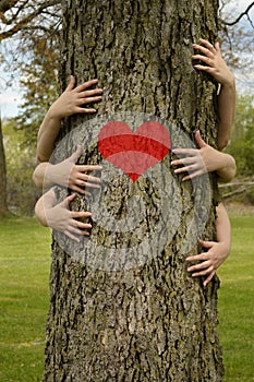 Tree Hugging Environmentalists