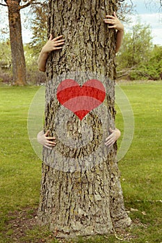 Tree Hugging Environmentalists