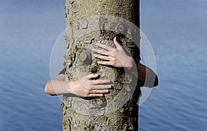 Tree hugging, little boy giving a tree a big hug if front of water