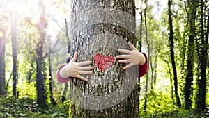 Tree Hugging - Love Nature - Child Hug The Trunk