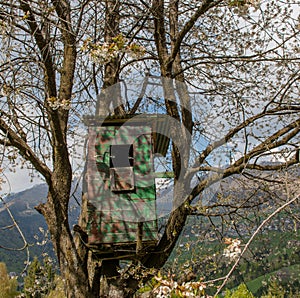 Tree hunting hut