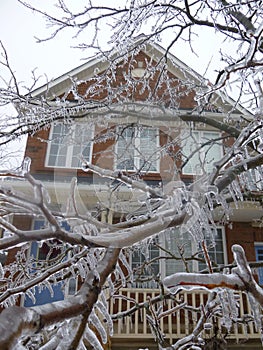 Tree of Ice with House