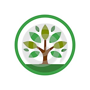 Tree icon. Abstract tree symbol. Concept of caring for a green environment.