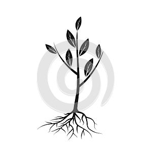 Tree icon black with roots and leaves