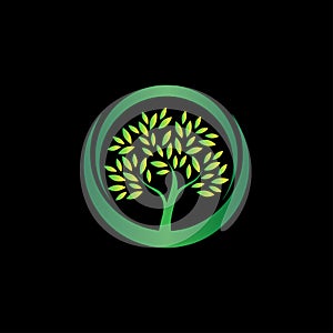 tree icon, colorful tree design, tree logo design