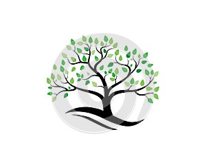 Tree icon concept of a stylized