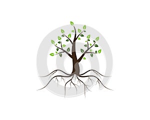 Tree icon concept of a stylized vector illustration