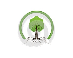 Tree icon concept of a stylized vector illustration