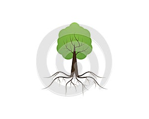 Tree icon concept of a stylized vector illustration