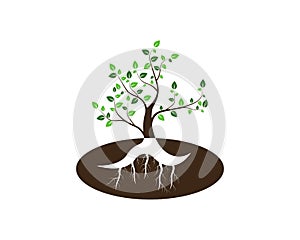 Tree icon concept of a stylized vector illustration