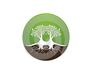 Tree icon concept of a stylized vector illustration