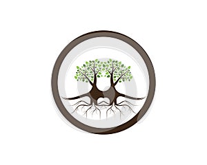Tree icon concept of a stylized vector illustration