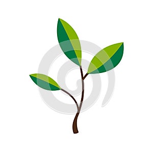 Tree icon with green leaves - eco concept vector or company logo design element. Environmental protection, nature