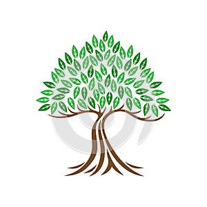 Tree icon with leaves.