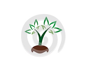 Tree icon logo template vector illustration design