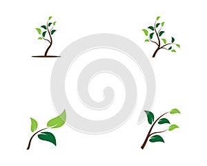 Tree icon logo img