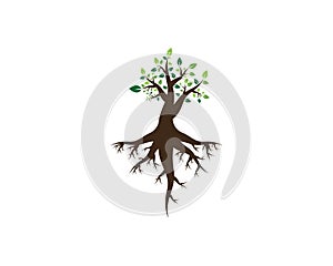 Tree icon logo vector illustration