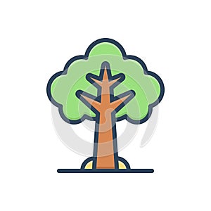 Color illustration icon for Tree, plant and forest