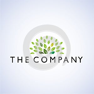 Tree ideas design illustration graphic