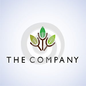 tree Ideas leaf design illustration graphic