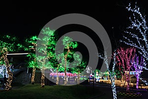 Tree at Illumia Light Illumination festival Korea Night