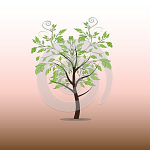 Tree illustration