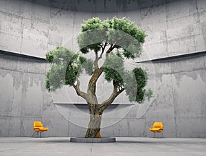 Tree inside a concrete building. Modern architecture. Growth and healthy workplace concept