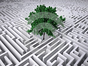 Tree inside endless labyrinth