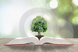 Tree of knowledge life growing on soil from big archive open textbook on wooden table