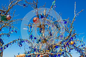 Evil eye talismans tree Cappadocia Turkey photo