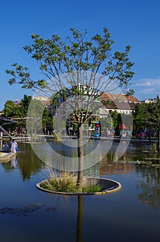 The tree in the lake in Millenary Park photo
