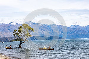 That tree in Lake Wanaka