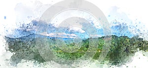 Tree land field landscape on watercolor illustration painting background.