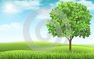 Tree on landscape background.