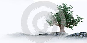 Tree on the landscape background concept symbolic composition